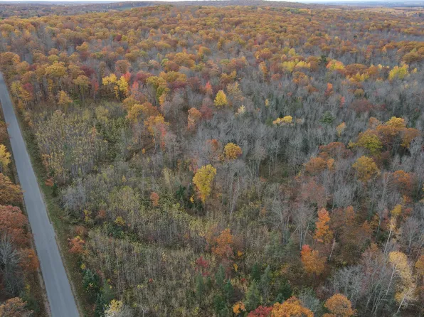 W16 Breakneck Rd, Birchwood, WI 54817