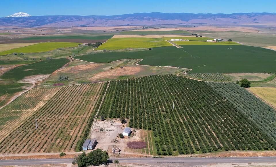 Screenshot 2024-06-27 183842>