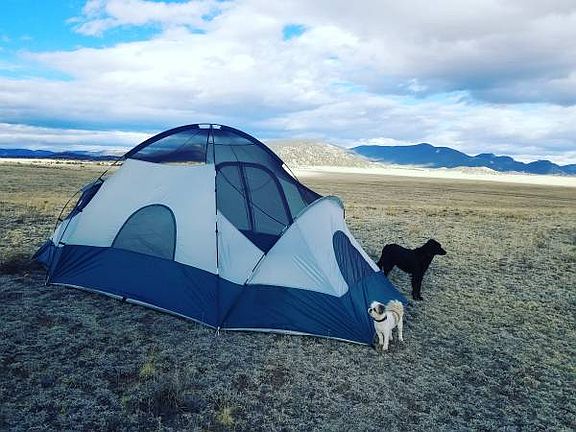 Great for camping. Stars!