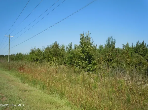 Tbd Near 10700 Andrew Jackson Highway, Fair Bluff, NC 28439