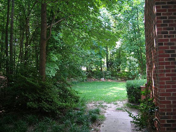 View from driveway to rear of yard