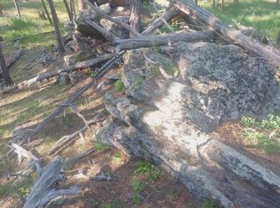 Tbd Ruby Rd, Custer, SD 57730