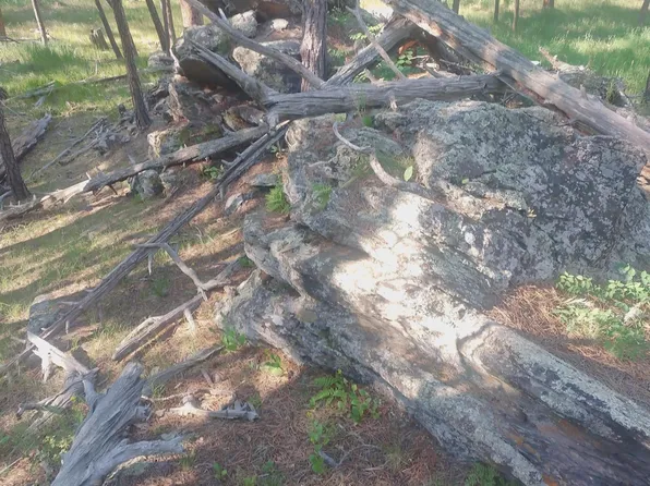 Tbd Ruby Rd, Custer, SD 57730