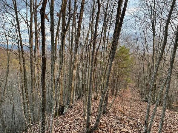 Carlock Creek Rd, Chilhowie, VA 24319