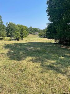SE County Road 4235, Mount Vernon, TX, 75457