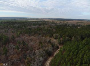 0 Brown Rd, Howard, GA 31006