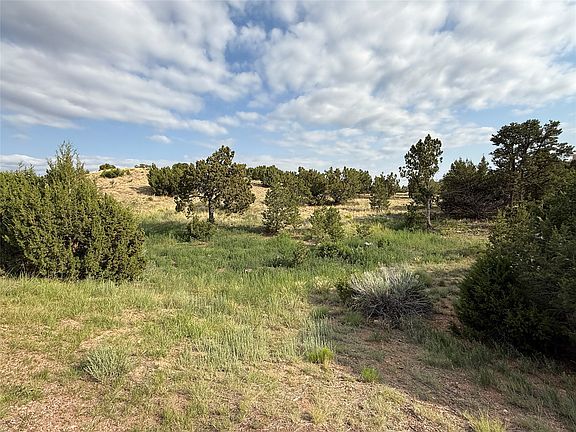 2nd image of 4 Pinon Ridge Ln