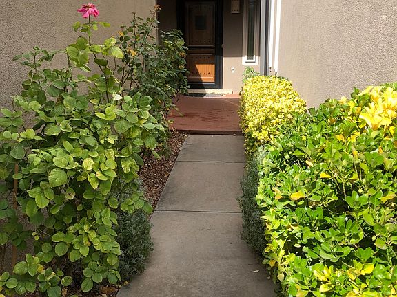 Entry in courtyard