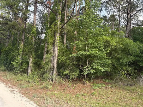 206th Ter, Wellborn, FL 32094