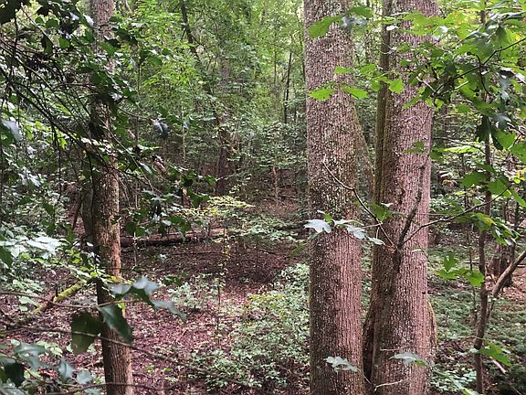 4th image of 00 Nc Hwy 16