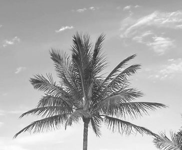 11465 Old Harbour Road, North Palm Beach, FL, 33408