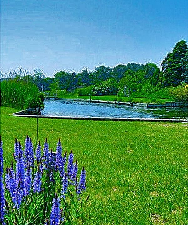 Bulkhead and Wetlands