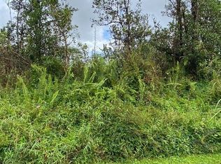 39th Ave LOT 4, Kurtistown, HI 96760