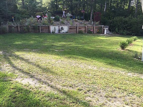 Back Yard and Garden