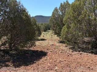 LOT 851 Fort Rock Rd, Seligman, AZ 86337