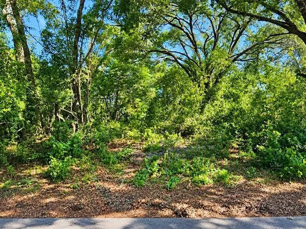 LOT 13 PATRICE ROAD LOT 13, DADE CITY, FL 33523