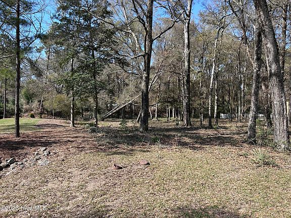 4th image of 1951 Redfish Run SW