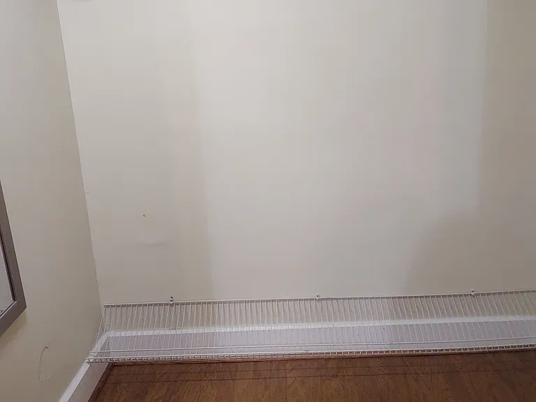 Bedroom #1with walk in closet with shelf and clothes rod. Full length mirror on left wall. Pull down light in walk in closet.