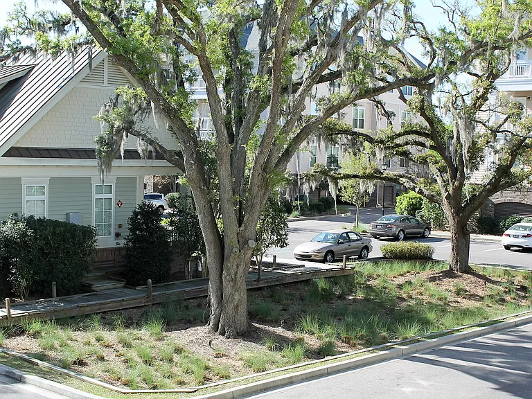 Wonderful, oak-lined outdoor parking