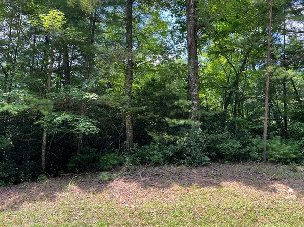 LOT 32 Fires Creek Rd, Hayesville, NC 28904