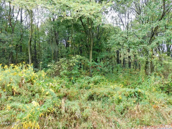 0 Pear Ln, Ashville, PA 16613