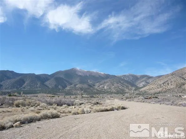 234 Artesia Rd, Wellington, NV 89444