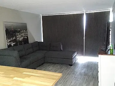 1 bed, 485 sqft, $1,695 — Photo 3