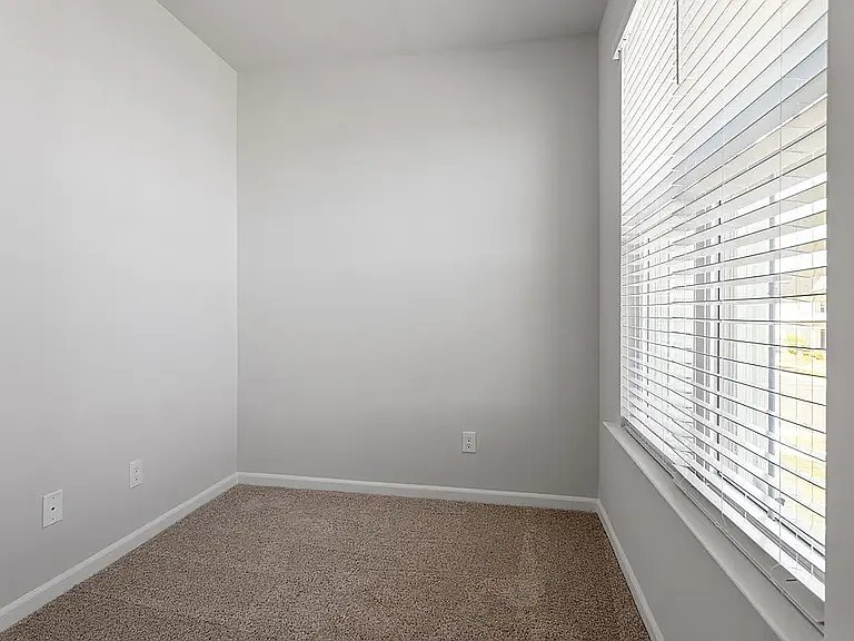 43 Pansy Park — Photo 14
