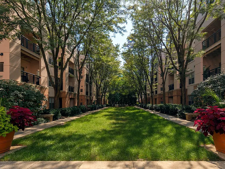 Strathmore Court at White Flint — Photo 16