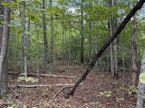 5th image of 144 Horse Creek Rd