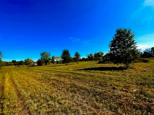 Lot 29 Cossins Avenue, Morrisville, MO 65710