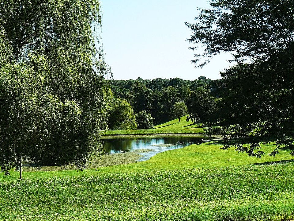 Distant trees are on Lot #4