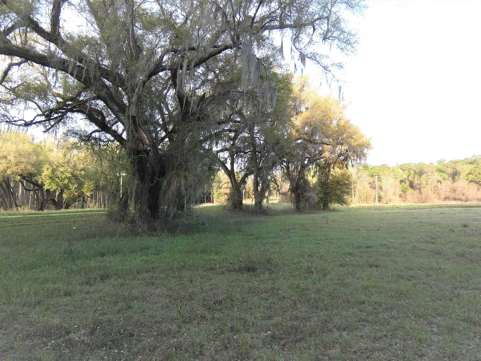 Ashville Hwy, Monticello, FL 32344 Zillow