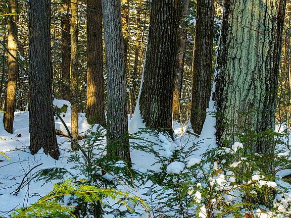 2nd image of 00 Bog Brook Road