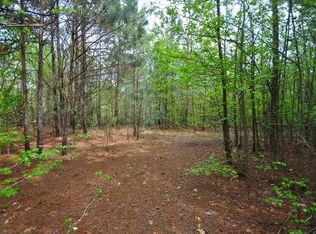 489 Alston Rd, Apex, NC 27523