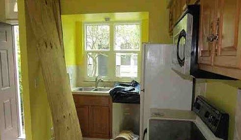 3rd image of 1201 W Horatio St APT 2