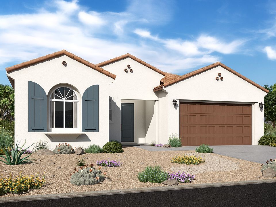 Cactus Wren Spanish Colonial D