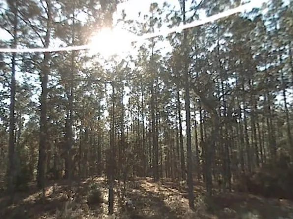 SW 158th Ave Lot 5, Ocala, FL 34481