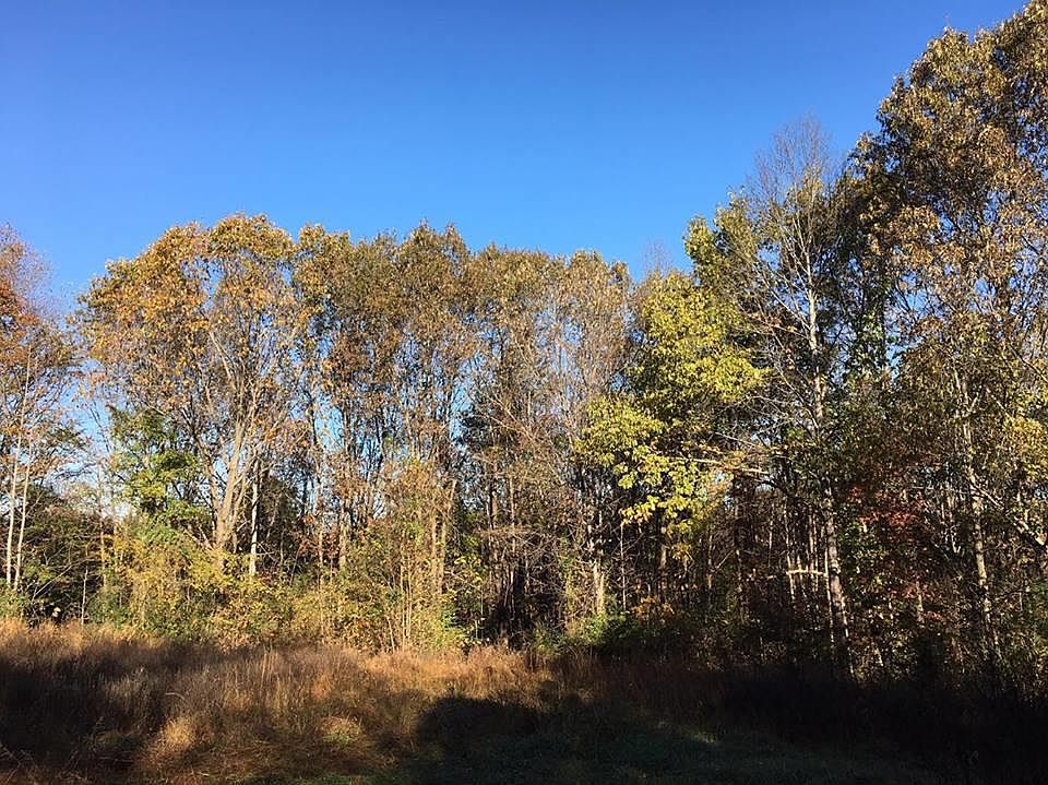 2nd image of 8416 Riley Adcock Rd