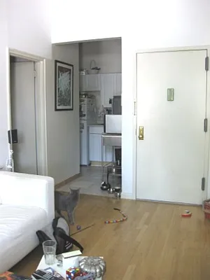 Rented by Citi Habitats | media 27