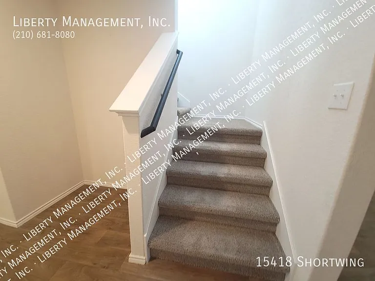 15418 Shortwing — Photo 14