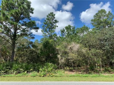 Royal Trails Rd LOT 9, Eustis, FL, 32736