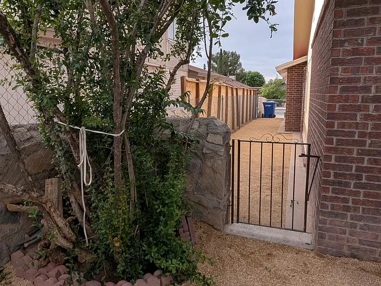 Backyard gate leading to the side yard.