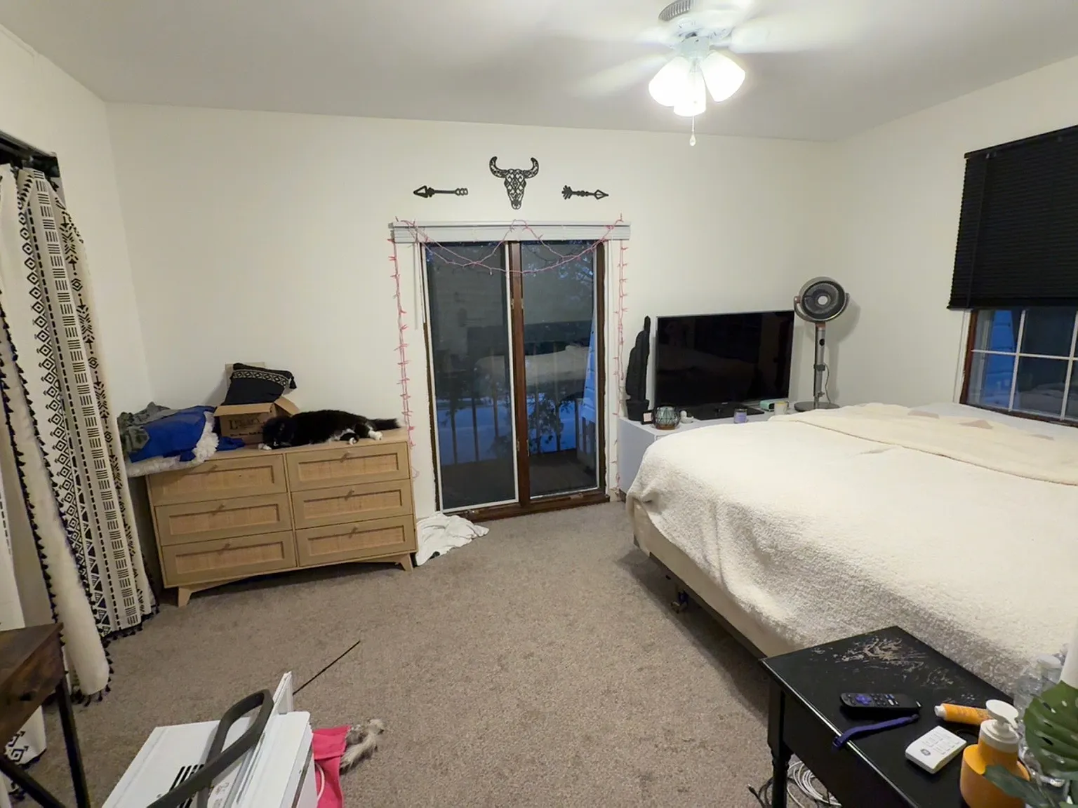 1 bed, 500 sqft, $950 — Photo 3