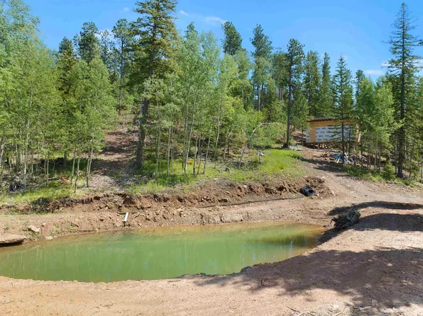 11453 Cat Ct, Lead, SD 57754