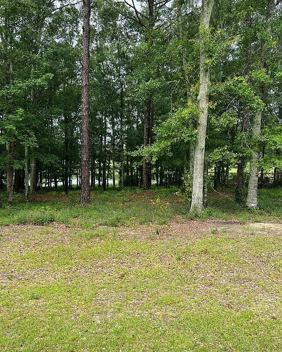 0 Private Road 1601, Chancellor, AL 36316 MLS 540162 Zillow