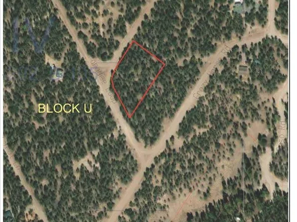11 Branding Iron Rd, Quemado, NM 87829