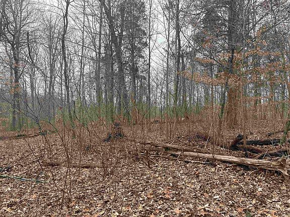 4th image of Campton Rd