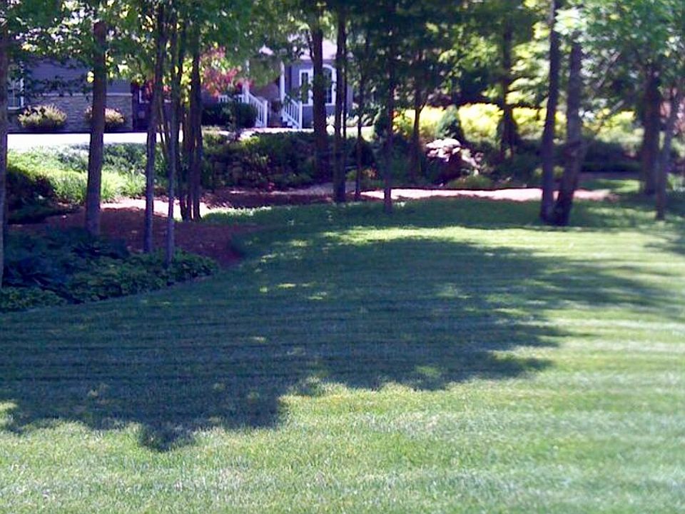 Landscaped - Sweet Woodruff