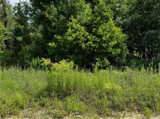 11847 NE 67th Pl, Williston, FL 32696